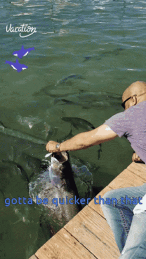 You Gotta Be Quicker Than That Fishing Fail GIF