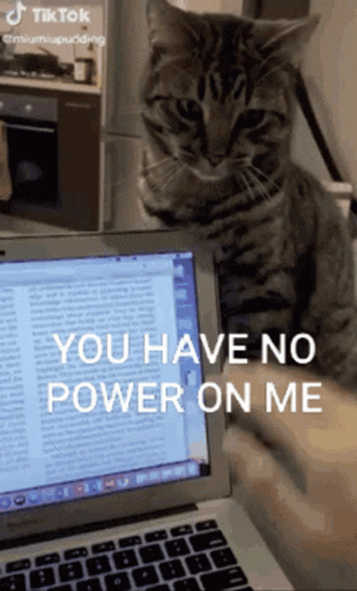 You Have No Power Here GIF