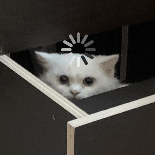 You Have Successfully Wasted 10 Seconds GIF