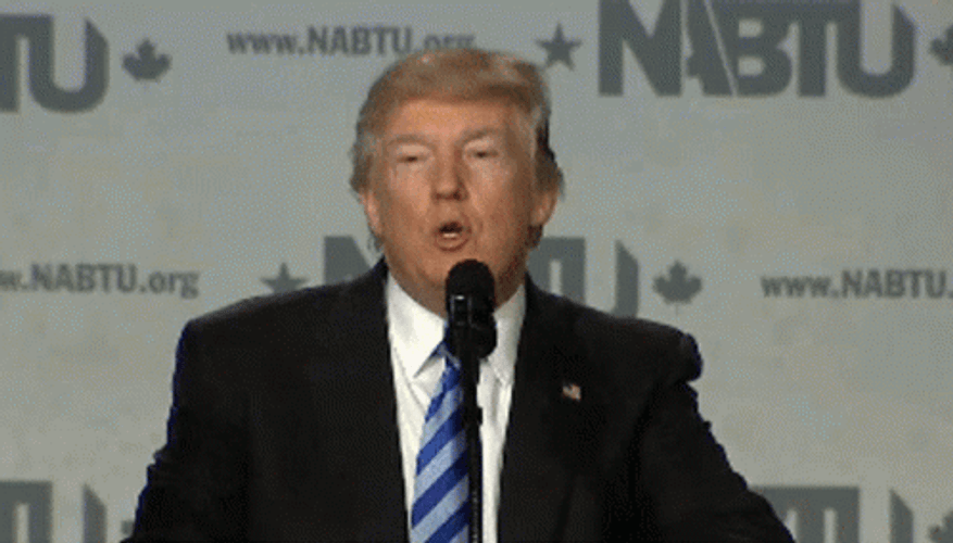 You Know It American President Donald Trump GIF