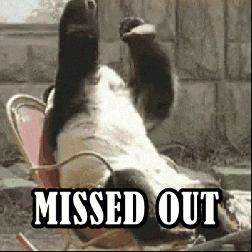 You Missed Out Giant Panda GIF