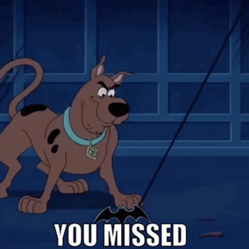 You Missed Scooby Doo GIF