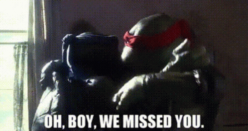 You Missed Turtle Friends GIF