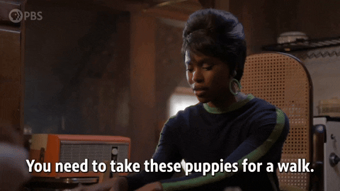 You Need To Take These Puppies For A Walk GIF