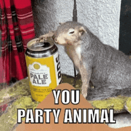 You Party Animal Clubbing GIF