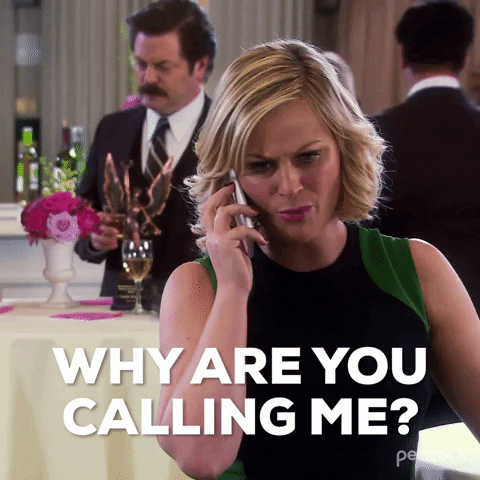 You Rang Parks And Recreation Leslie Knope GIF