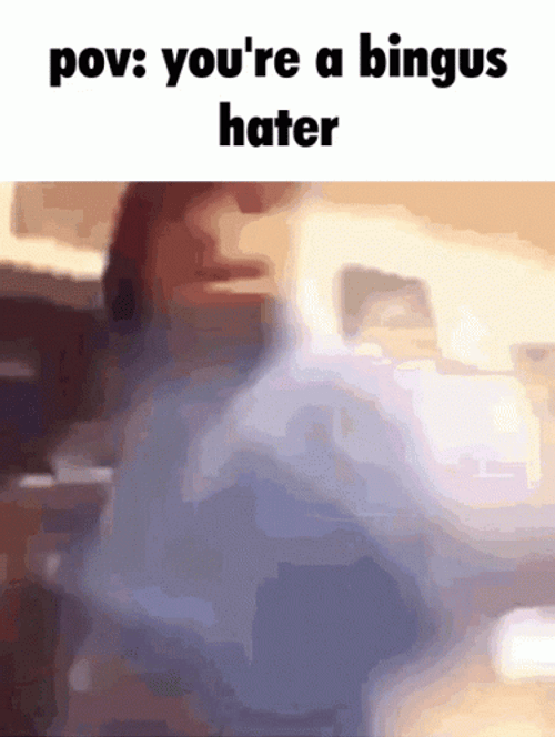 You're A Bingus Hater GIF