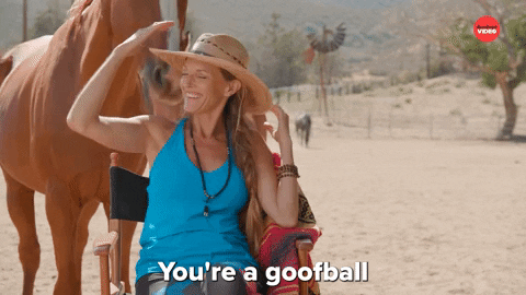 You're A Goofball Pommel Horse GIF