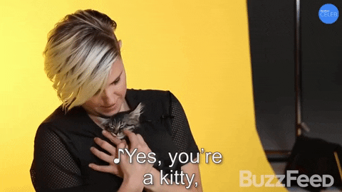 You're A Kitty Hey Girl Hey GIF
