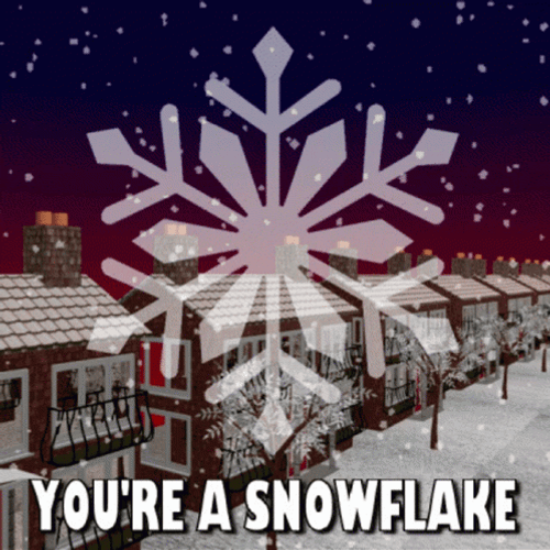 You're A Snowflake GIF