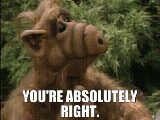 You're Absolutely Right Mascot GIF