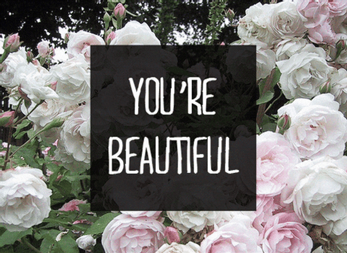 You're Beautiful Tumblr Flower GIF