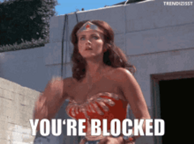 You're Blocked Wonder Woman Fighting Meme GIF