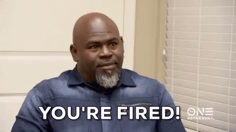 You're Fired David Mann GIF