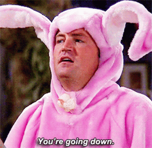 You're Going Down Matthew Perry Bunny Suit GIF