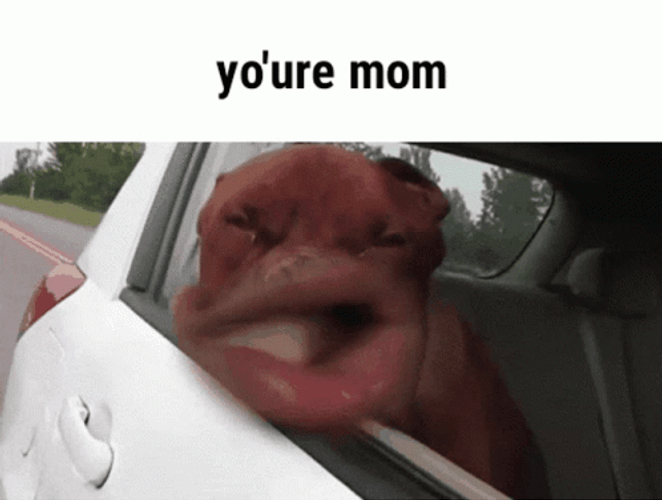 funny-faces Memes & GIFs - Imgflip