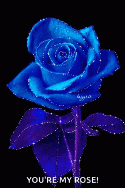 You're My Blue Rose GIF