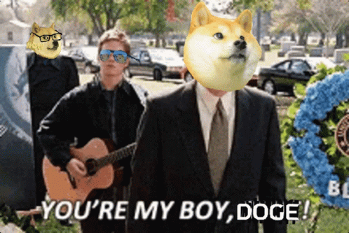 You're My Boy Blue Dogecoin GIF