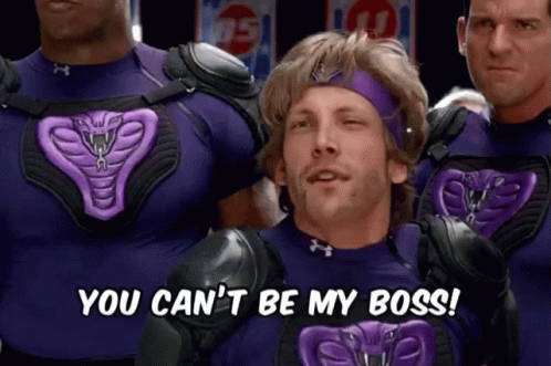 You're Not My Supervisor I'm My Own Boss GIF
