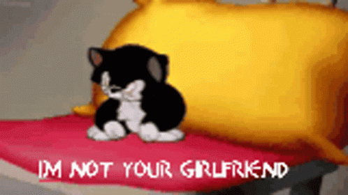 You're Not That Guy Pal Upset Cat GIF