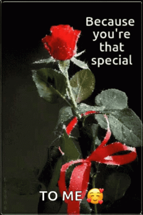 You're Special Rose GIF
