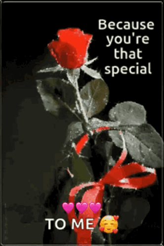 You're That Special to Me With Rose Hearts