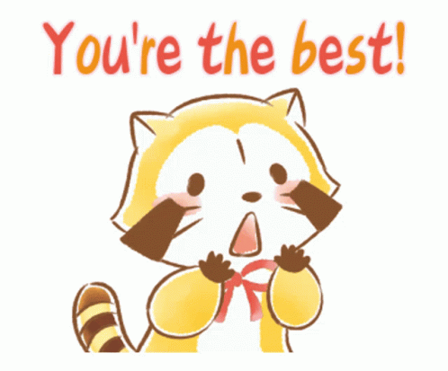 You're The Best Racoon Cartoon Shocked GIF