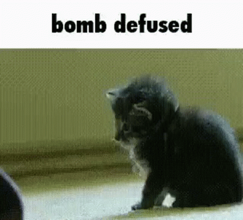 You're The Bomb Defused GIF