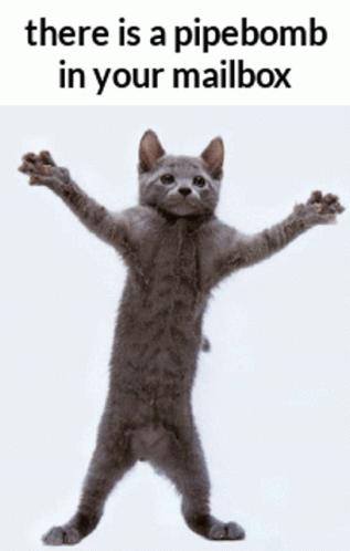 You're The Bomb In The Mailbox GIF