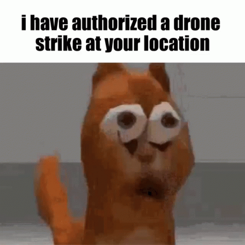 You're The Bomb Strike Cat GIF