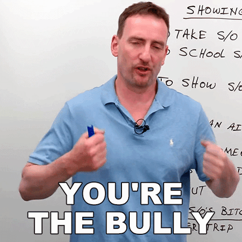 You're The Bully GIF