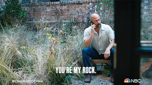 You Rock Meme Christopher Meloni GIF