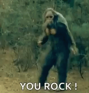 You Rock Meme Monkey Dance GIF