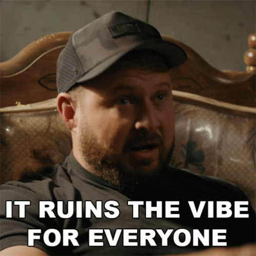You Ruined The Vibe Of It GIF