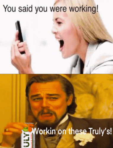 You Said You Were Working Meme Drunk GIF