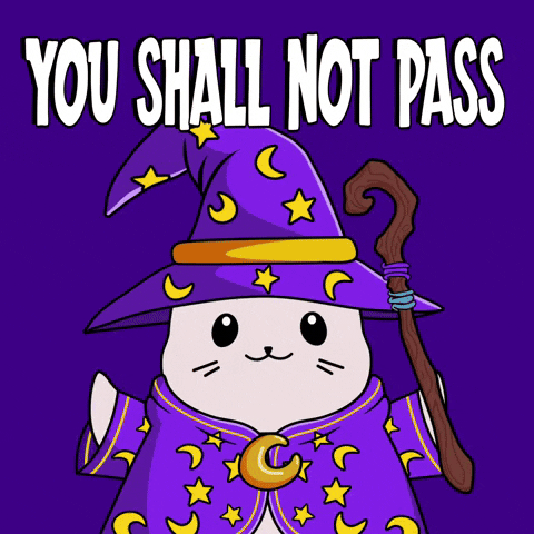 You Shall Not Pass Cartoon Cat Wizard GIF
