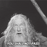 You Shall Not Pass Gandalf Black And White GIF