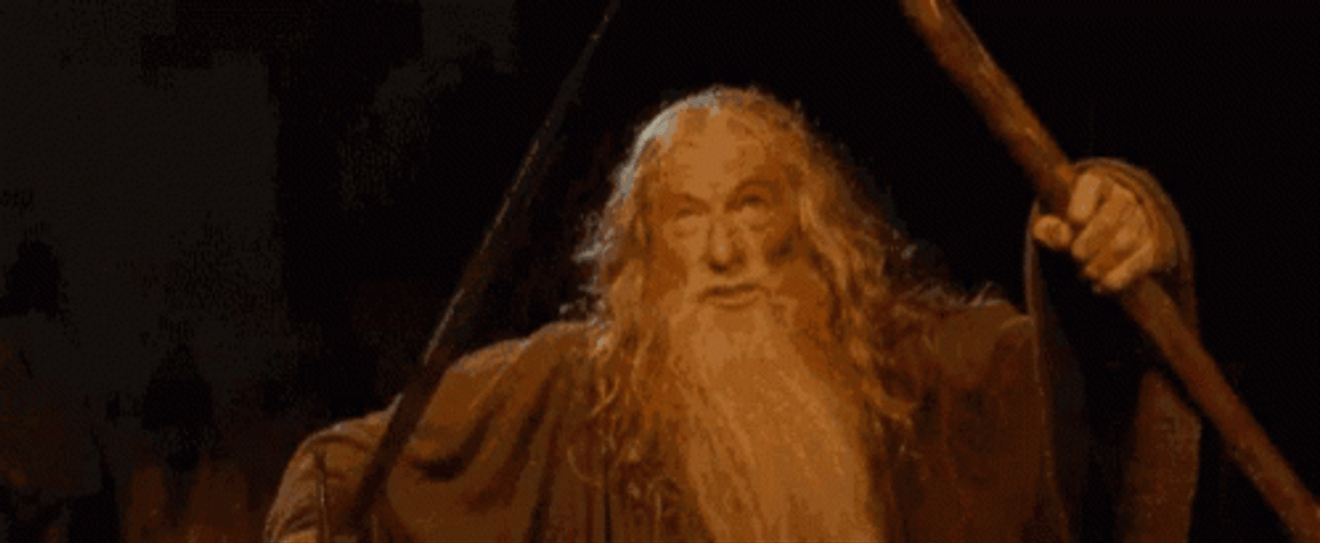 You Shall Not Pass Gandalf LOTR GIF