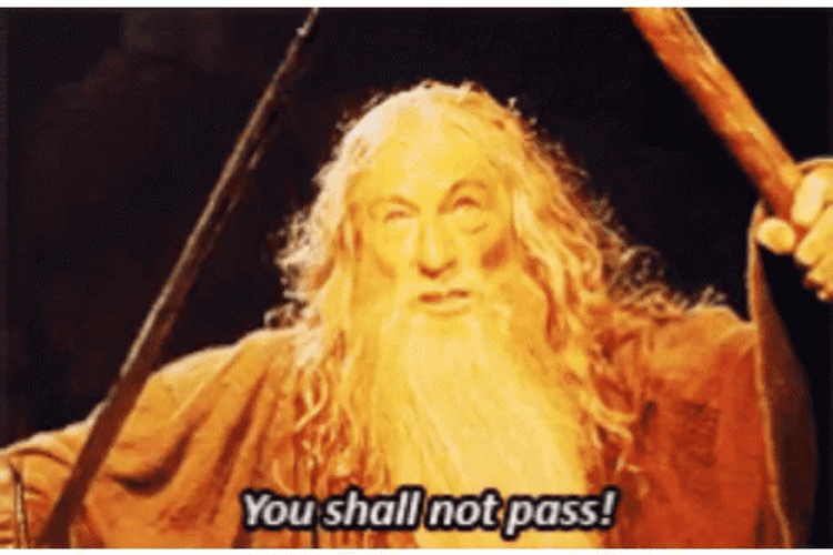 You Shall Not Pass Gandalf Mafia Brothers Meme GIF