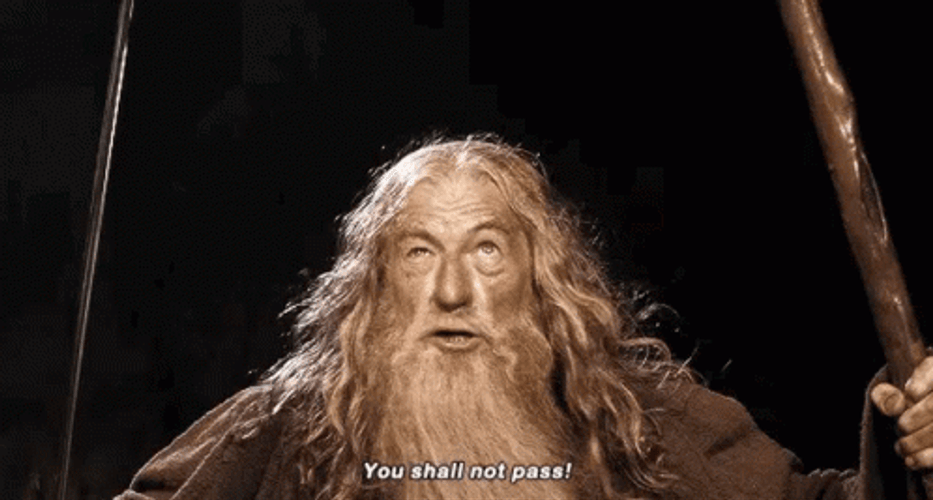 You Shall Not Pass Gandalf Releasing Power GIF