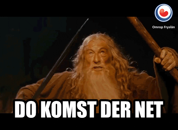 You Shall Not Pass Gandalf Simpsons Meme GIF