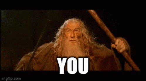 You Shall Not Pass Gandalf Sorcerer Meme GIF