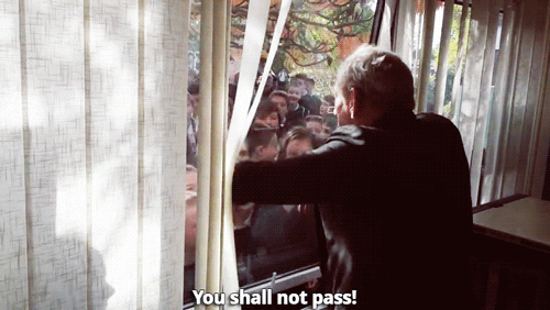 You Shall Not Pass Ian Mckellan GIF