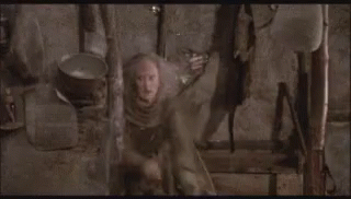 The Princess Bride You Sit On A Throne Of Lies GIF