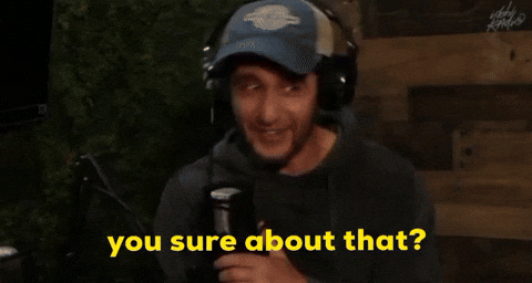 You Sure About That Wesams World GIF