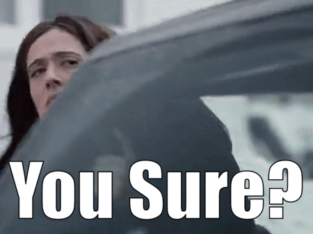 You Sure Lady In Car GIF