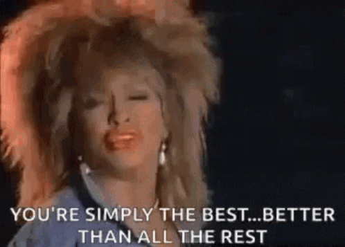 Tina Turner Singing You The Best GIF