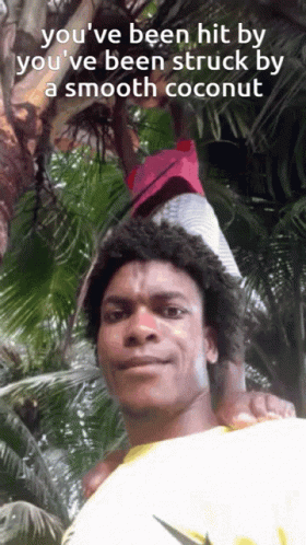 You've Been Hit By Coconut Tree GIF