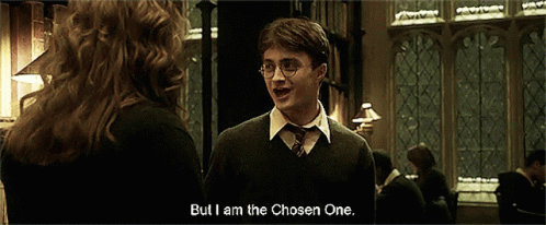 You Were The Chosen One Harry Potter GIF