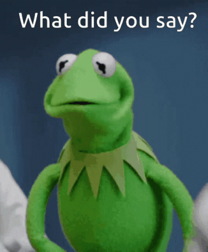 You What Kermit The Frog GIF